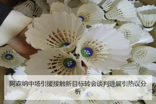 阿森纳中场引援接触新目标转会谈判进展引热议分析